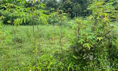 Dijual Tanah Ajb Luas 211 di Parung Panjang, Bogor