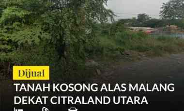 dijual tanah alas malang bringin