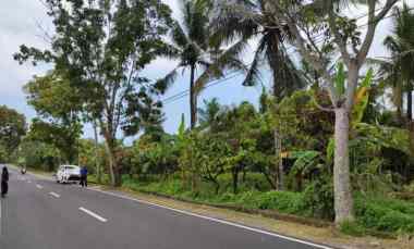 dijual tanah antosari kec selemadeg