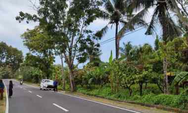 Jual Tanah Kebun Sangat Luas di Daerah Antosari Tabanan Bali