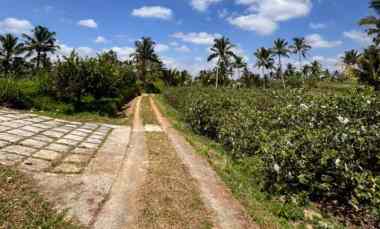 Tanah Dijual di Apuan
