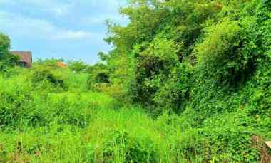 Dijual Tanah Area Gatsu Barat 1520 m2 Zona Perdagangan dan Jasa