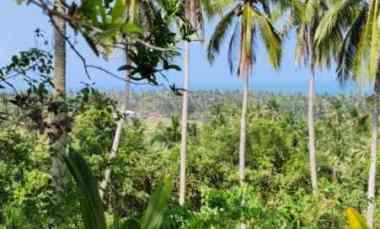 dijual tanah balian beach selemadeg