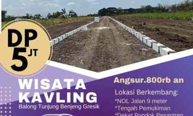 dijual tanah balongtunjung