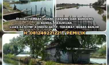 Dijual Tambak Udang Vaname dan Bandeng di Bangil, Pasuruan. Luas 42937