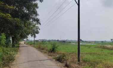 Tanah Dijual di Lamongan