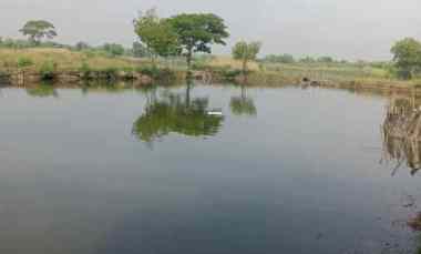 Tanah Dijual di Bangunsari