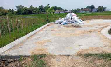 Sawah Dijual Cepat 1700m2 Harga 280jt Banyudono Muka 13 meter