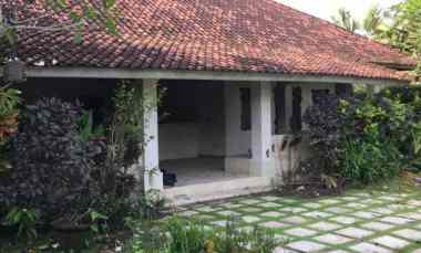 Dijual 11,5 are, jl. Pura Kayu Putih Batu Beliq Kerobokan Kuta Utara