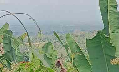 Plantation Land With Mountain and Valley Views in Baturiti Bali