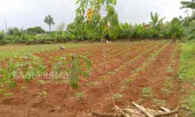 dijual tanah bedahan