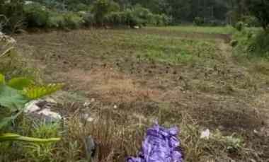 Dijual 42,35 are, jl. Raya Wortel Candikuning Baturiti Bedugul Tabanan