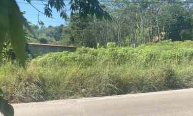 dijual tanah beiji