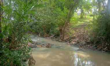 dijual tanah beraban selemadeg timur