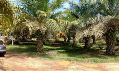 dijual tanah besitang kab langkat kec