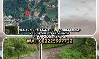 Dijual Murah Tanah Hook Shm 1300m Kebun Durian di Boja, Kab. Kendal