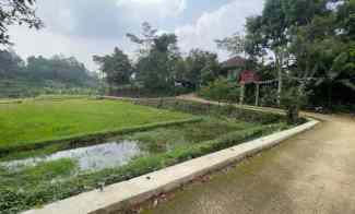 Tanah Bekas Sawah Dikelilingi Jalan Mobil Luas 1553 m2 di Purwakarta