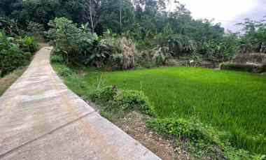 dijual tanah bojong