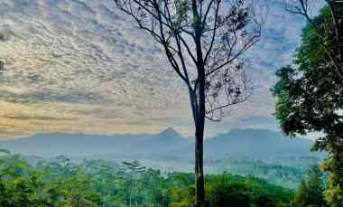 Tanah Kebun Cengkeh Pemandangan Bagus Udara Dingin di Purwakarta