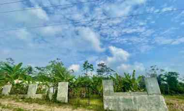 dijual tanah bojong