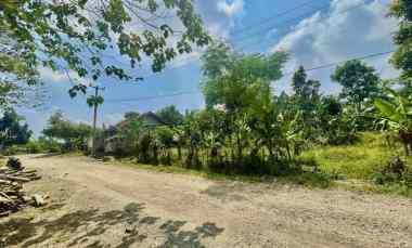 Tanah Kebun Pisang Pinggir Jalan di Perkampungan Bojong Purwakarta