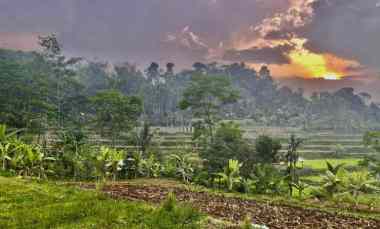 Tanah Dijual di Bojong