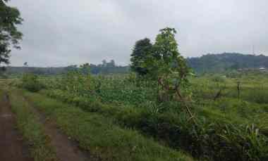 Dijual Tanah Kebun Pinggir Jalan Desa di Bojong Cilimus Kuningan
