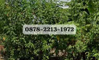 Tanah Dijual di BOJONGSOANG BANDUNG