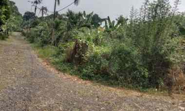 dijual tanah bomang