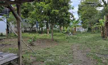 dijual tanah bondowoso