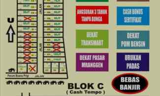 dijual tanah buana prigi demak