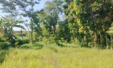 Dijual Tanah Buat Invest di Cilimus Kuningan