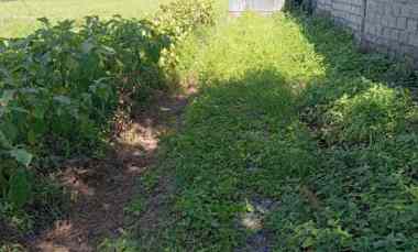 Dijual 6 are, jl. Tukad Badung XXIV Sidakarya Renon Denpasar