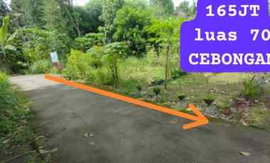 Dijual Tanah Murah Pekarangan di Selatan Cebongan 167 juta