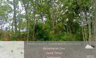 Dijual Tanah Cepat di Dusun Kuso RT 4,Desa Kalisonggo,Kab Malang