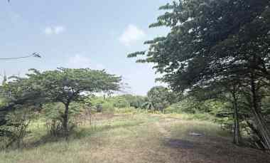 Tanah Dijual di Cibarusah
