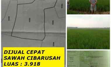 Dijual Sawah Harga Dibawa NJOP Lokasi Cibarusah Bekasi Jabar