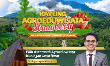 Kavling Agroeduwisata Strawberry di Kaki Gunung Ciremai