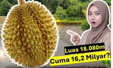 Jual Tanah City View Bogor Bonus Camping Ground Kebun Durian