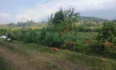 dijual tanah cilimus