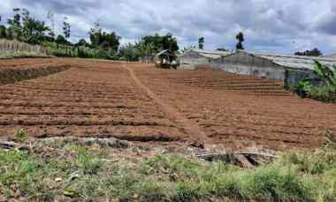 Dijual Murah Tanah Jalur Wisata Cisarua Lembang Kab. Bandung Barat