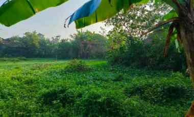 Dijual Tanah Luas Strategis Cocok untuk Investasi atau Hunian Kelu