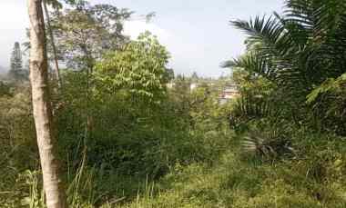 Dijual Tanah di Fesa Citeko Puncak Samping Taman Safari Bogor