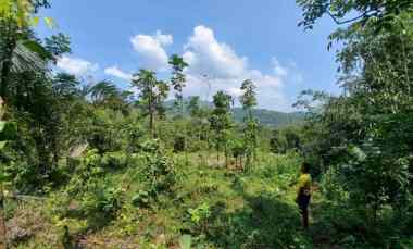 Jual Murah Tanah Cocok untuk Kebun atau Peternakan di Cisitu Sumedang