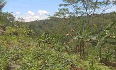 Dijual Cepat Tanah Cisonggom Cikembar Sukabumi Provinsi Jawa Barat