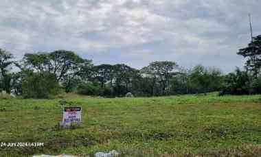 dijual tanah citraland