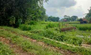 Tanah Dijual di Ciwangi beber