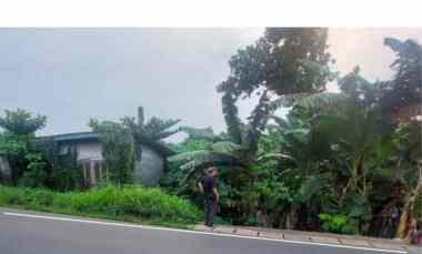 dijual tanah cocok untuk usaha