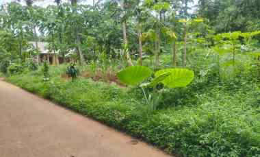 Dijual Tanah Cidadap Curug Serang