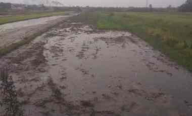 Tanah Dijual di DAERAH IRIAN JAYA PASURUAN KOTA, JATIM